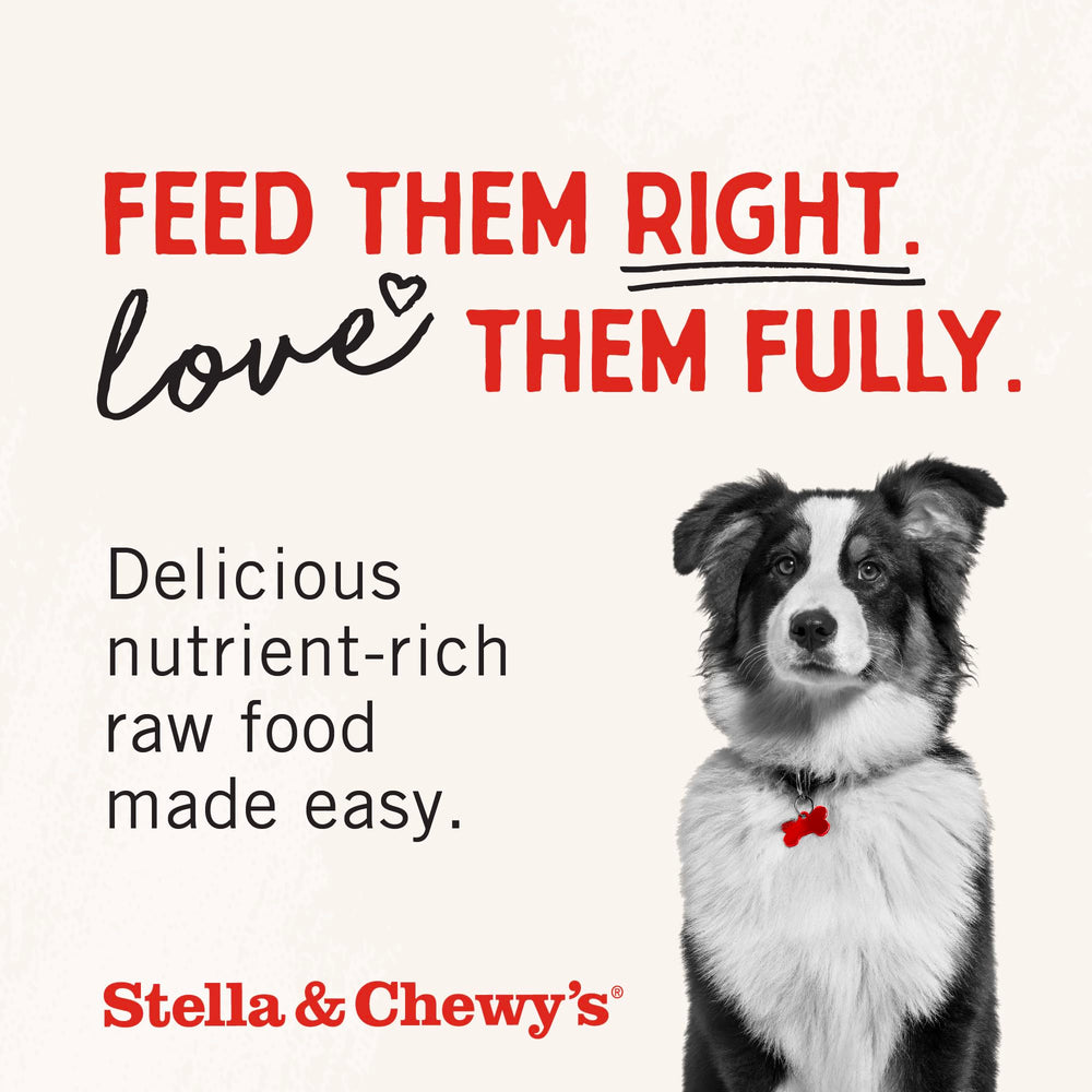 Stella & Chewy's supr beef mixer 1oz on kitchen counter scene.