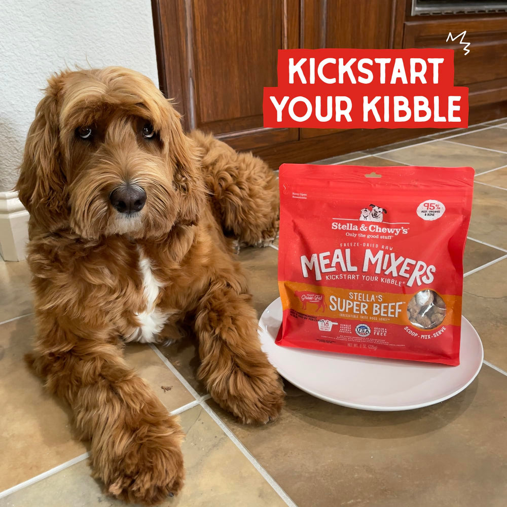 Stella & Chewy's dog meal mixer supr beef 1oz prep scene.