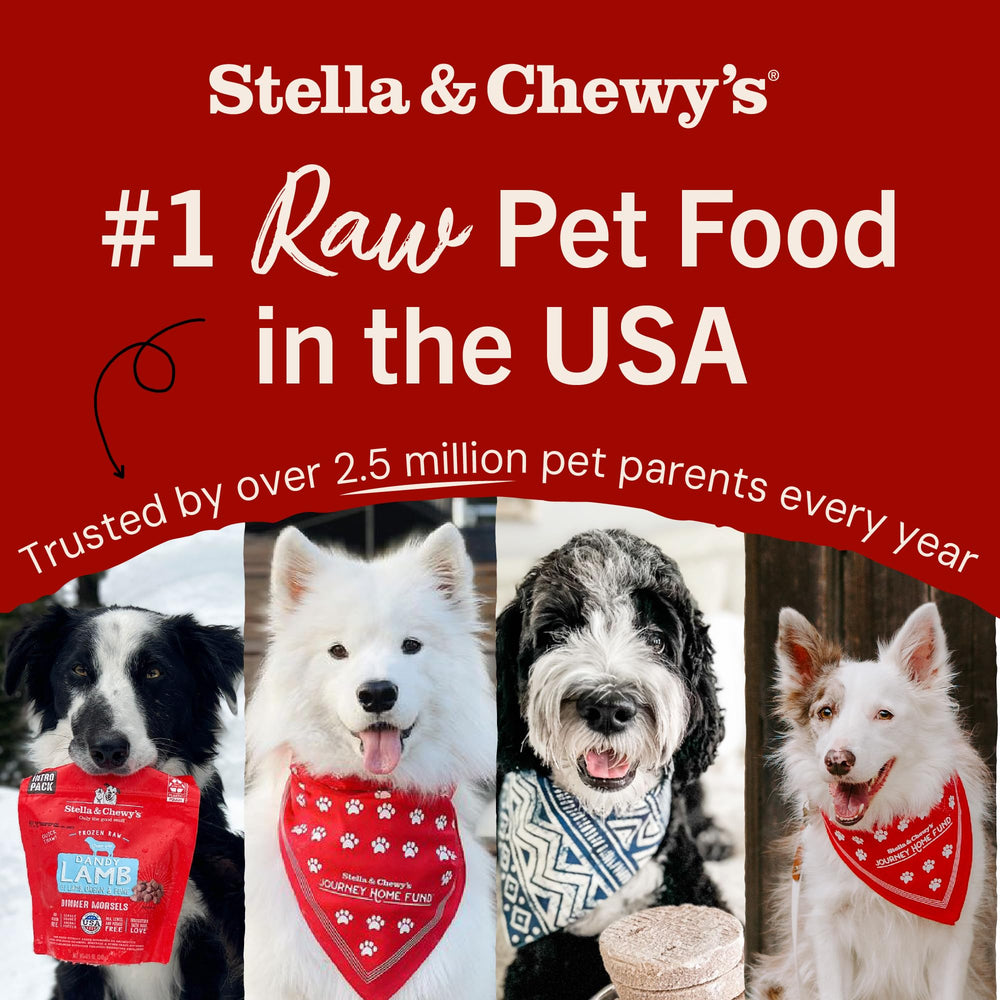 Stella and Chewys Topper bacon egg cheese lid off reveal fresh color and scent