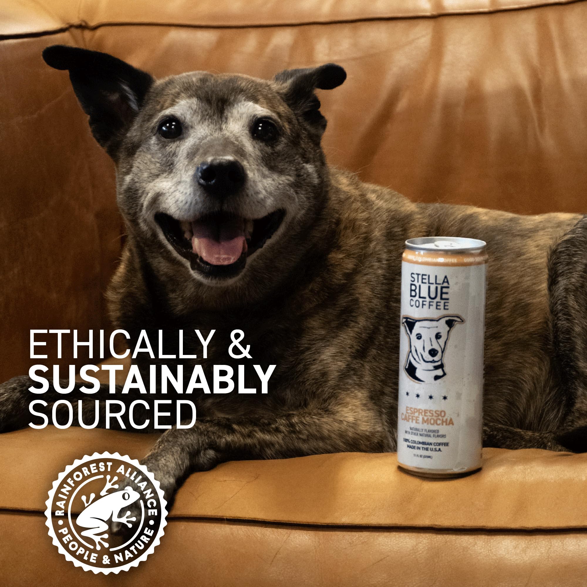 Stella Blue mocha espresso can ready for desk or commute breaks with flavor.