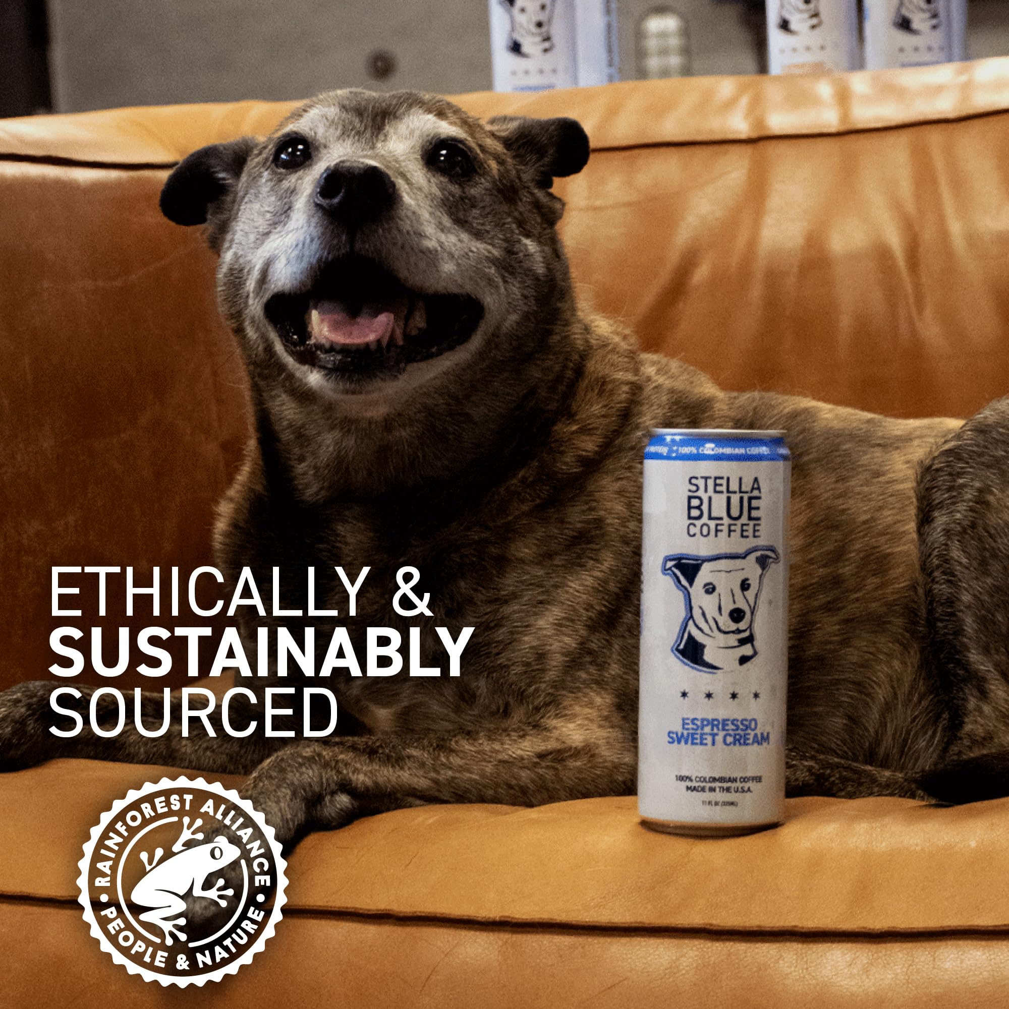 Stella Blue natural caffeine 190 mg can provides a clean energy boost