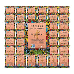 STELLAR SNACKS Maui Monk mini pretzel braids pack shown as a convenient vegan snack