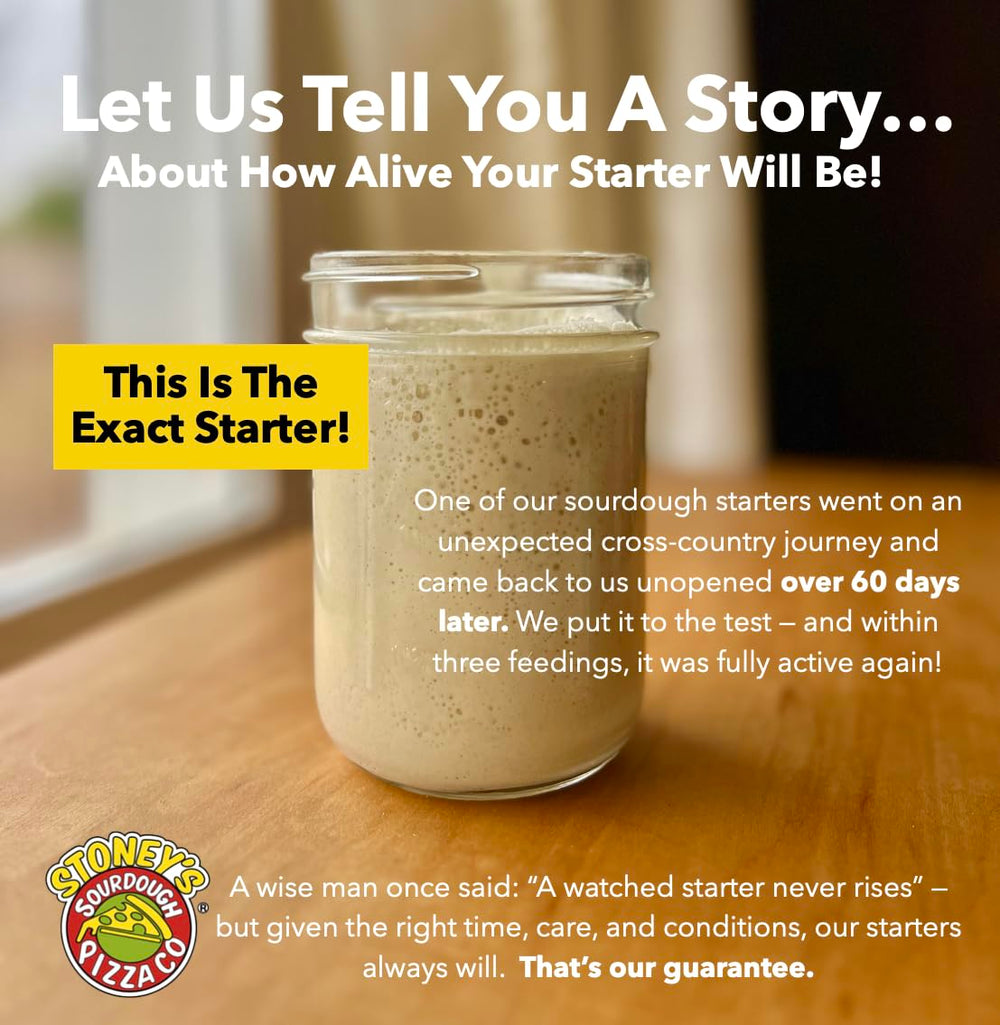 Stoney's starter packaging and lid visible for fresh, ready-to-use culture
