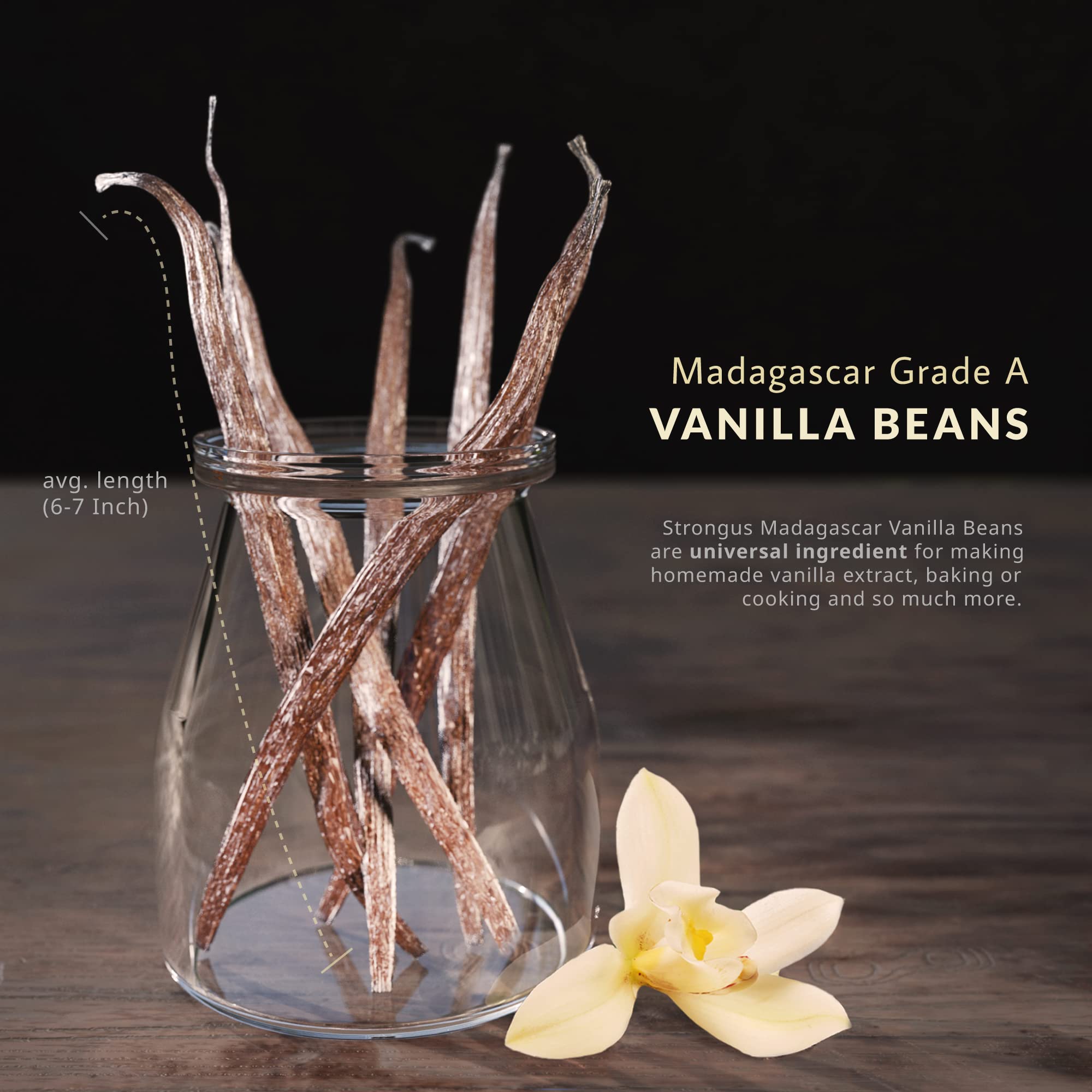 STRONGUS vanilla beans gift pack for bakers and cooks.