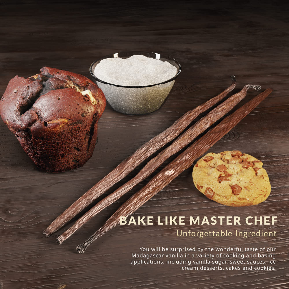 STRONGUS vanilla beans for aromatics—creamy flavor enhances desserts.