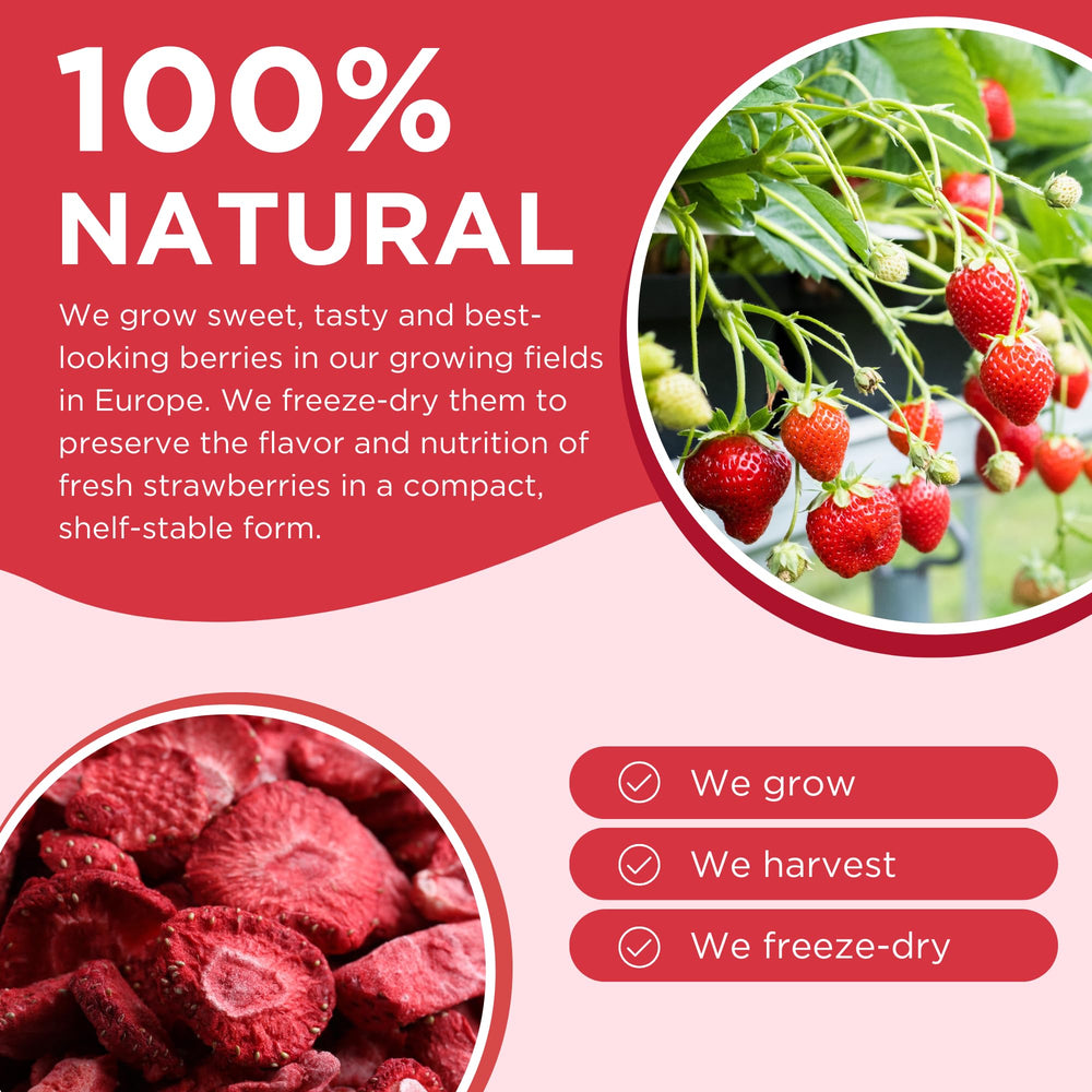 Summmmer freeze-dried fruit for baking adds natural flavor boost
