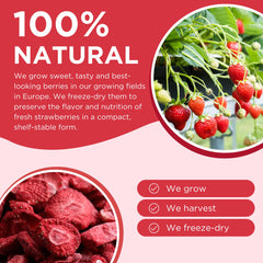 Summmmer freeze-dried fruit for baking adds natural flavor boost