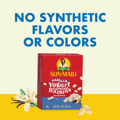 Sun-Maid Chocolate Yogurt Raisins packaging, eye-catching color and flavor.