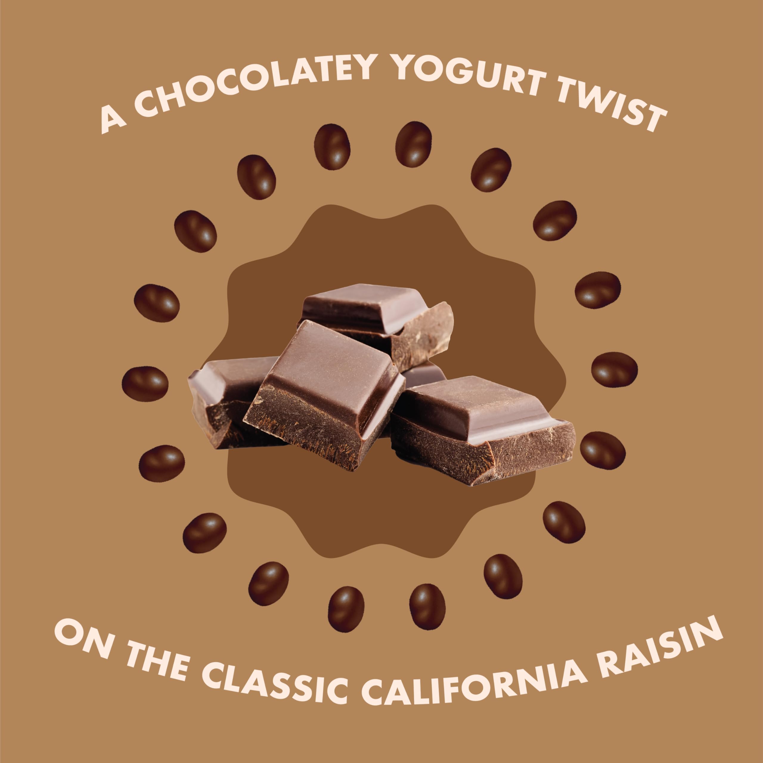 Sun-Maid Vanilla Yogurt Raisins travel snack, easy portion control.
