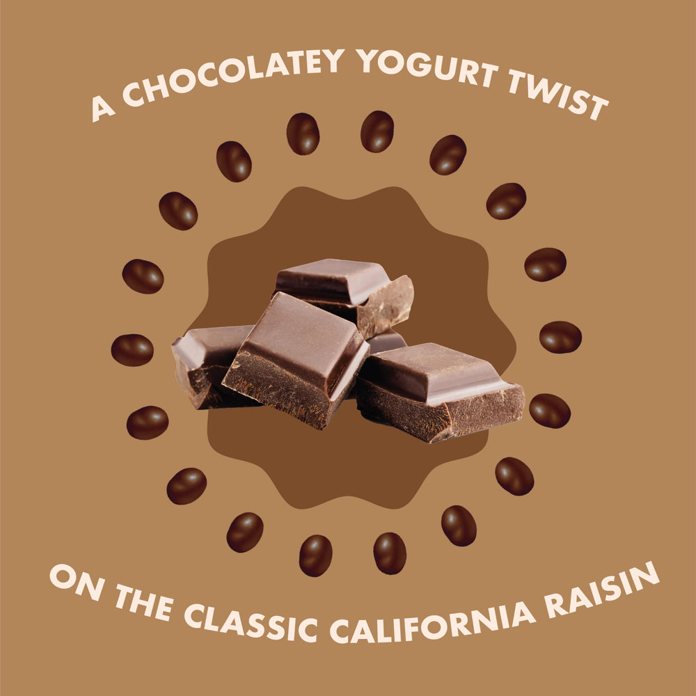 Sun-Maid Vanilla Yogurt Raisins travel snack, easy portion control.