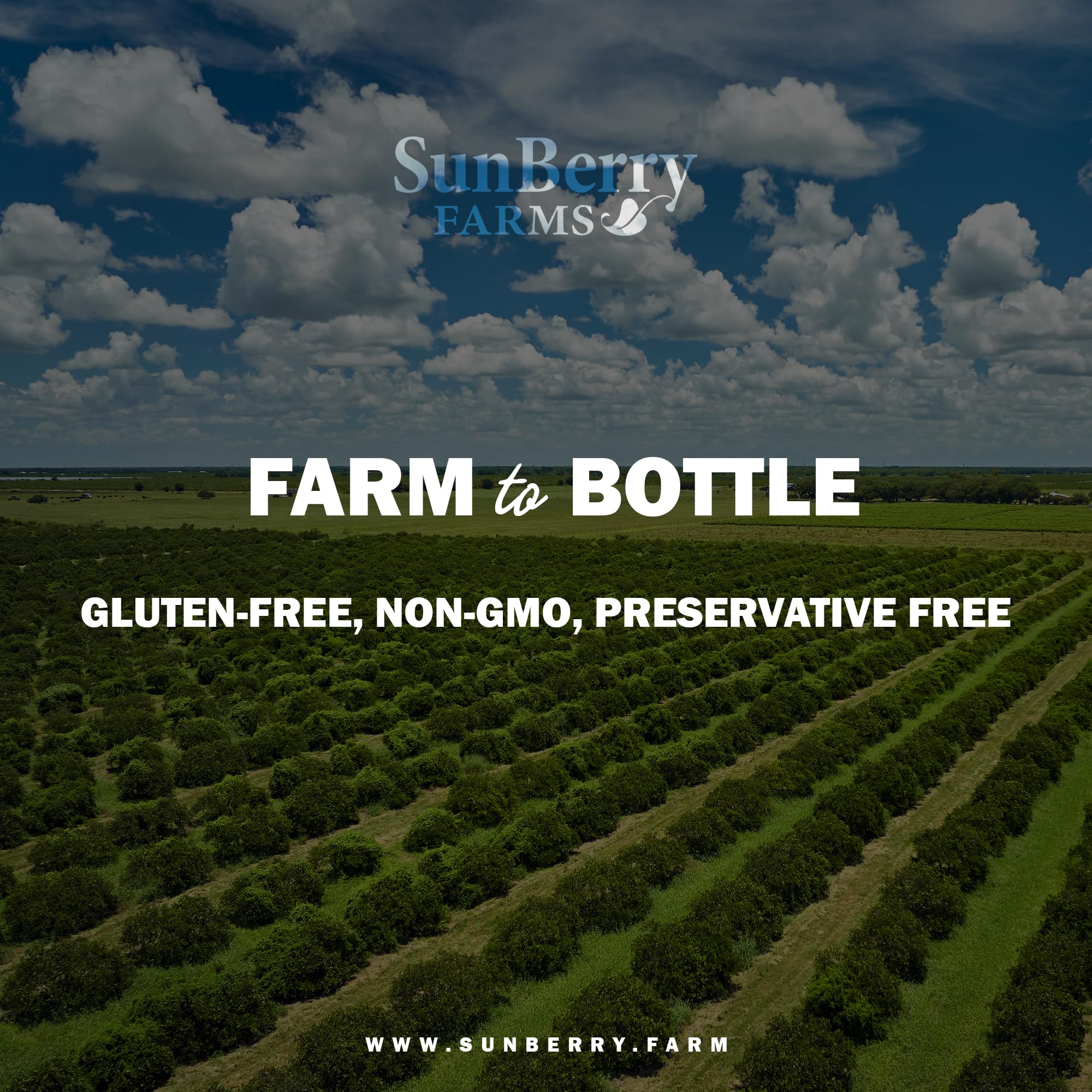 Sunberry Farms Lychee Nectar label close-up highlighting natural ingredients