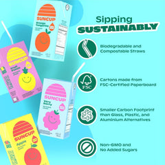 Sustainable packaging overview with FSC paperboard and compostable straw