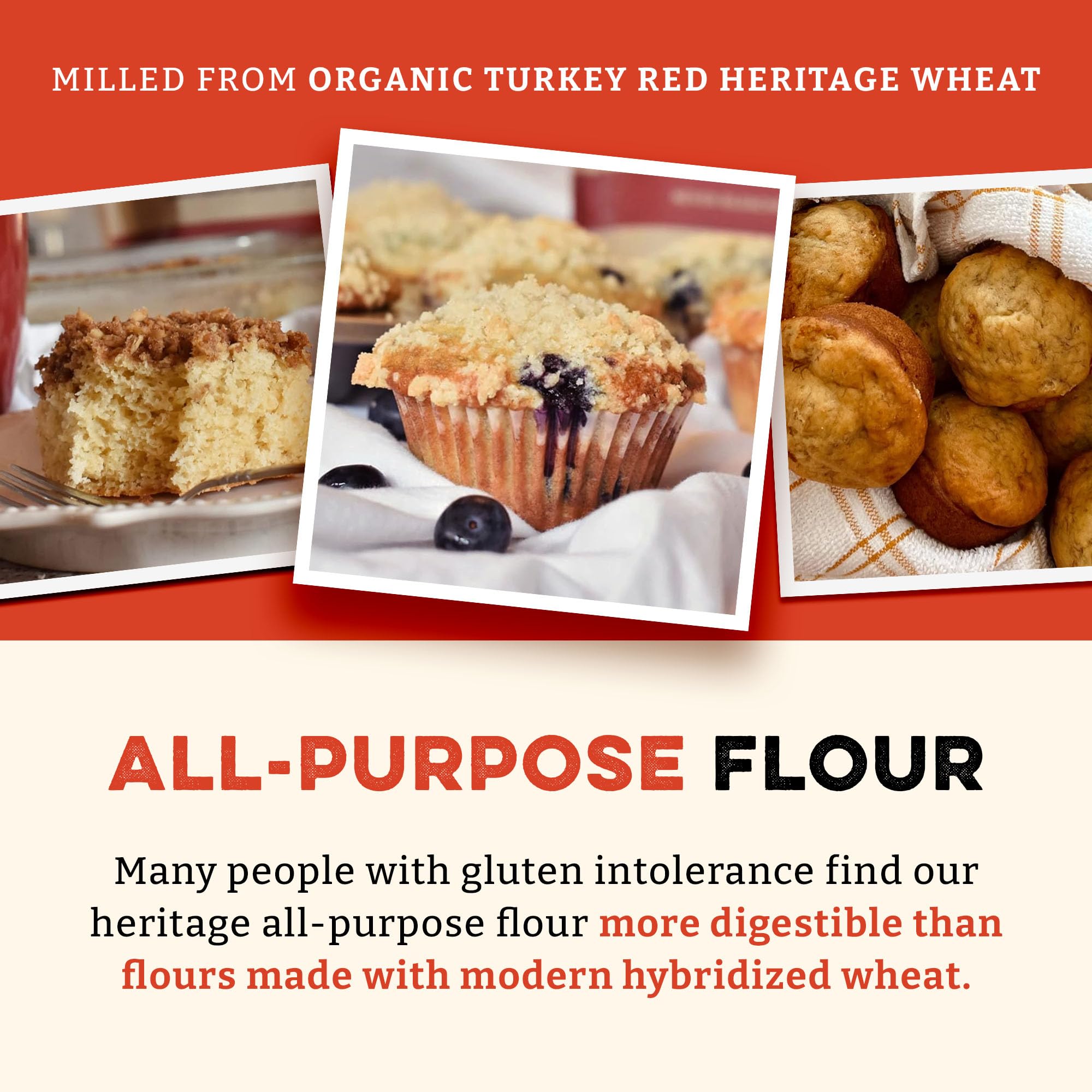 Sunrise Flour Mill artisan bread loaf shows high protein performance