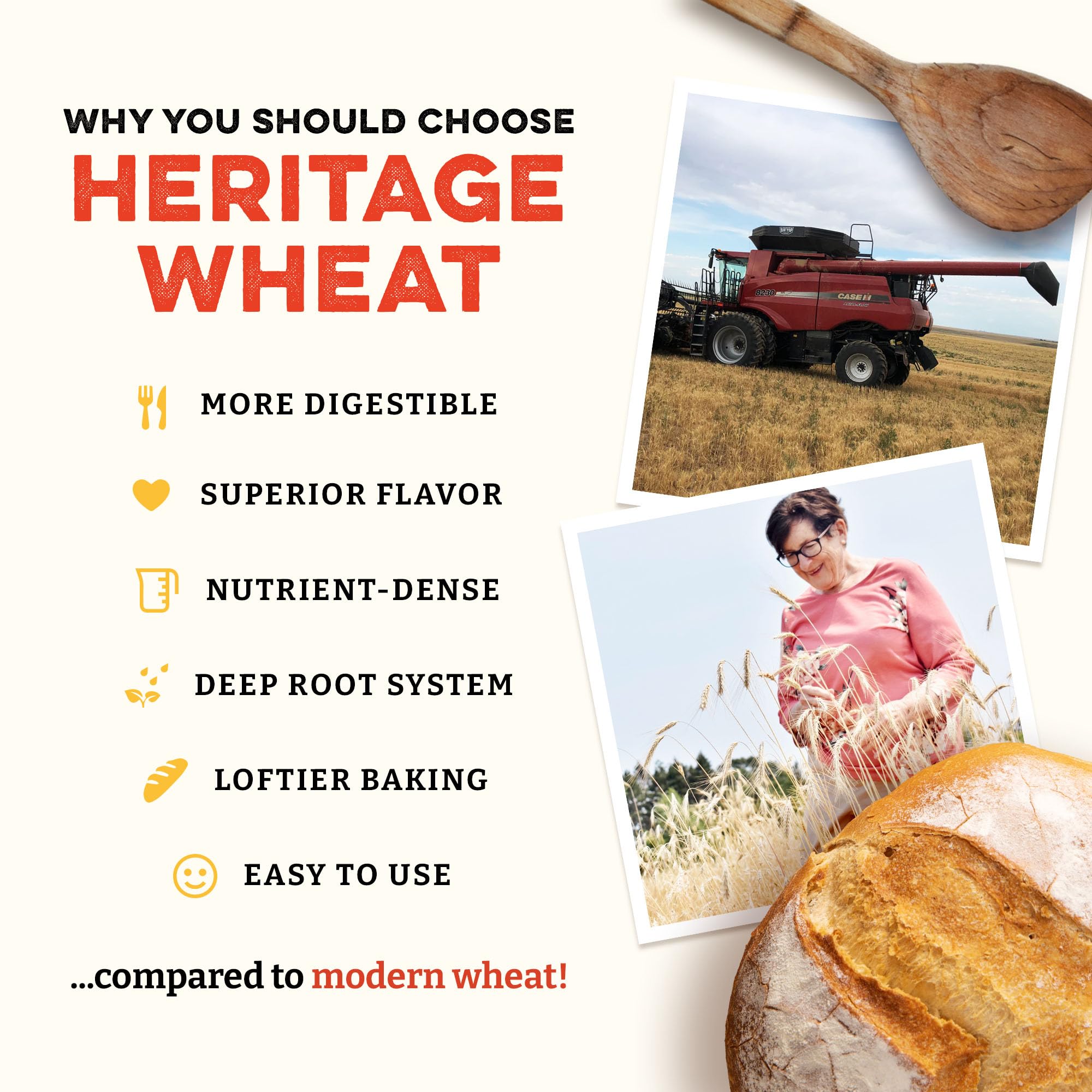 Sunrise Flour Mill Heritage Organic Bread Flour Blend loaf dough texture showing smooth crumb and potential lofty rise
