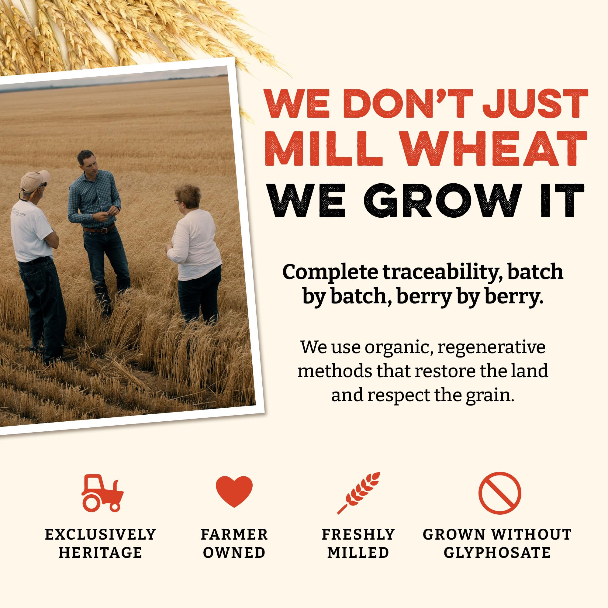 Sunrise Flour Mill heritage Turkey Red wheat berries in a bowl for hearty dishes.