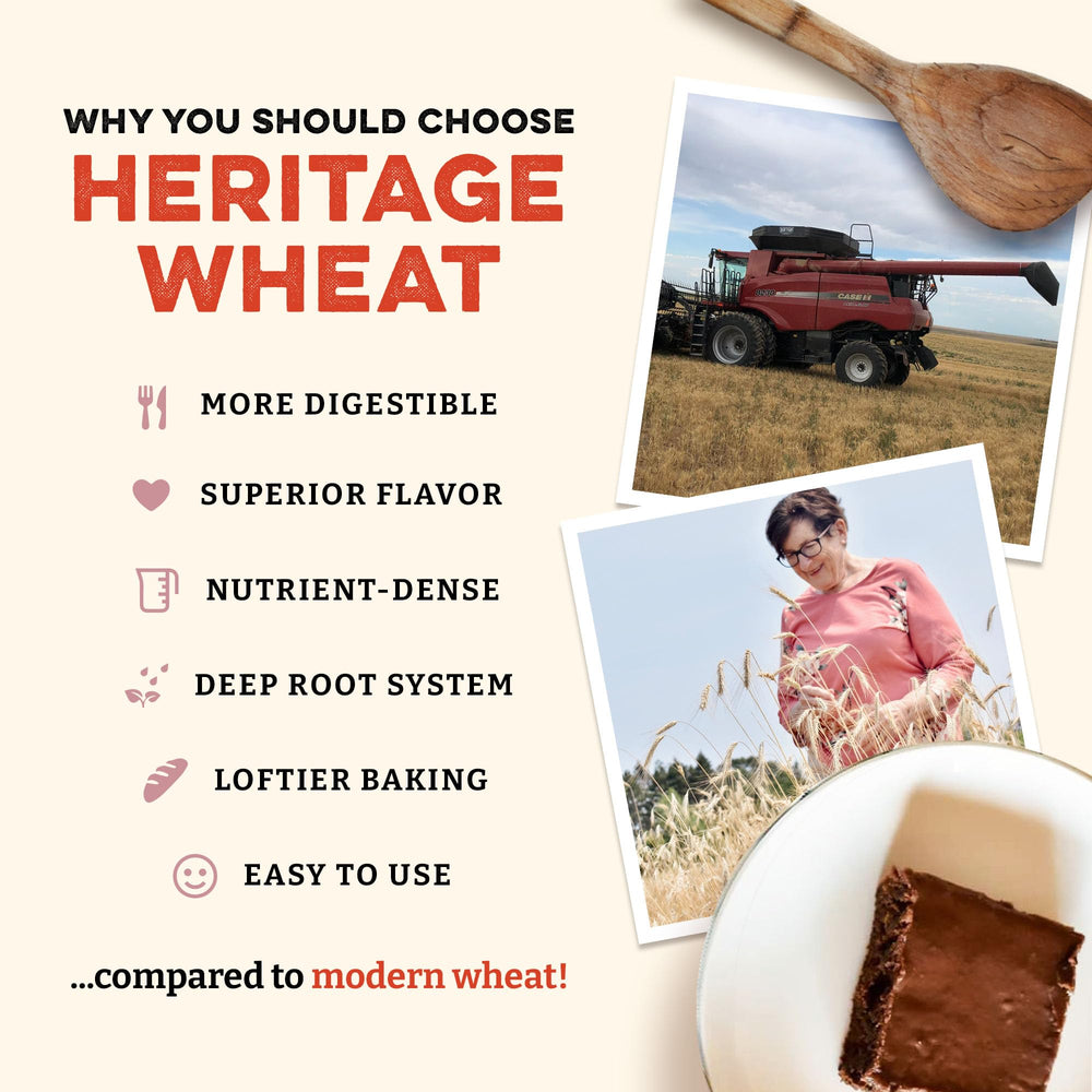 Sunrise Flour Mill organic White Sonora wheat image conveys pesticide-free grain with versatile baking potential.