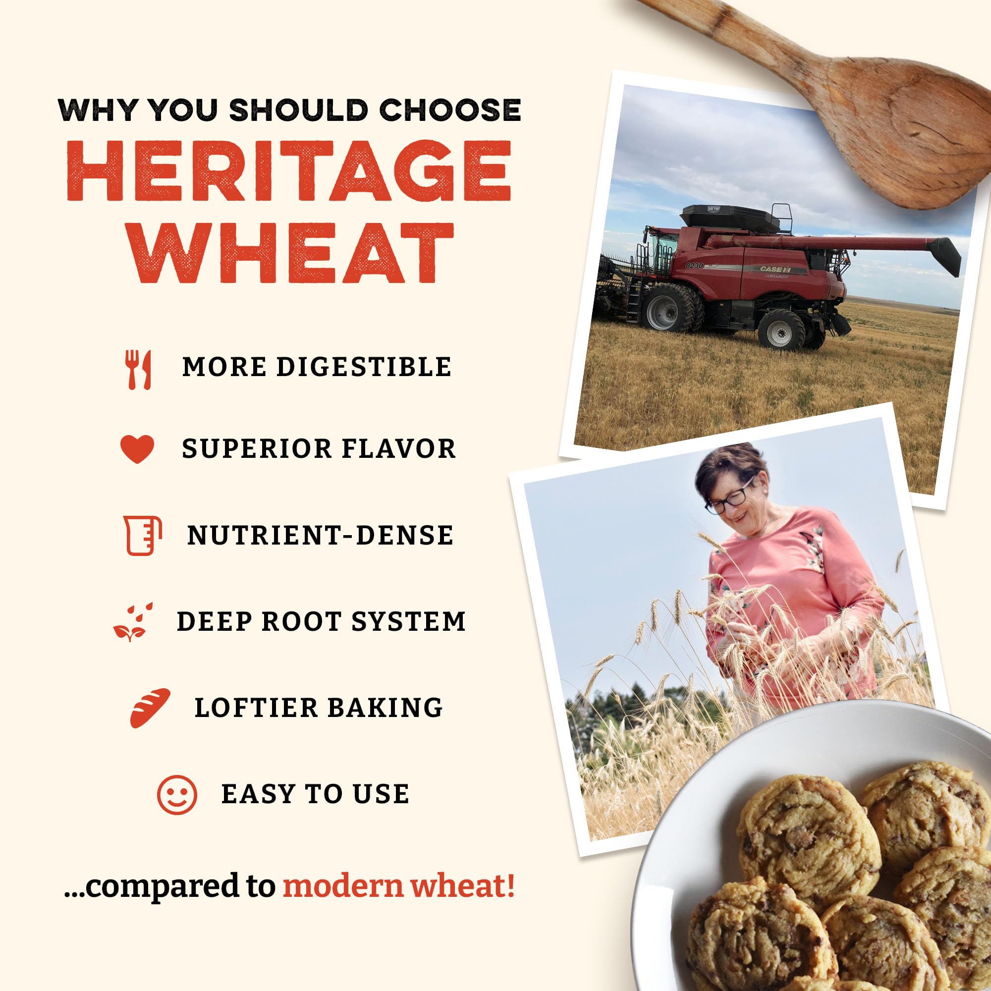 Sunrise Flour Mill Turkey Red heritage wheat field, sustainable sourcing