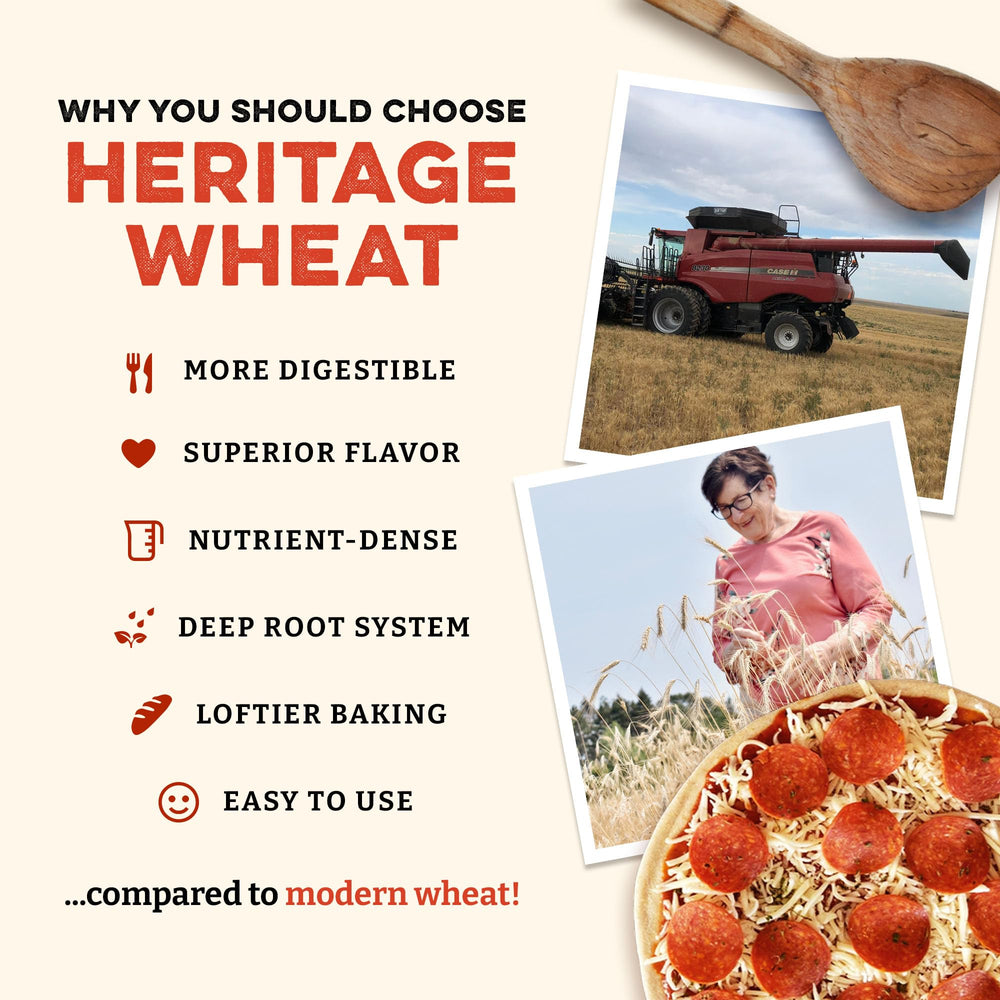 Sunrise Flour Mill unifine milling close-up reveals ultra-fine flour texture
