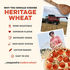 Sunrise Flour Mill unifine milling close-up reveals ultra-fine flour texture