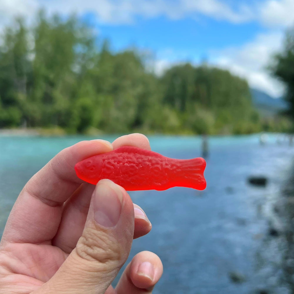 Swedish Fish on a kitchen counter ready for snacking.