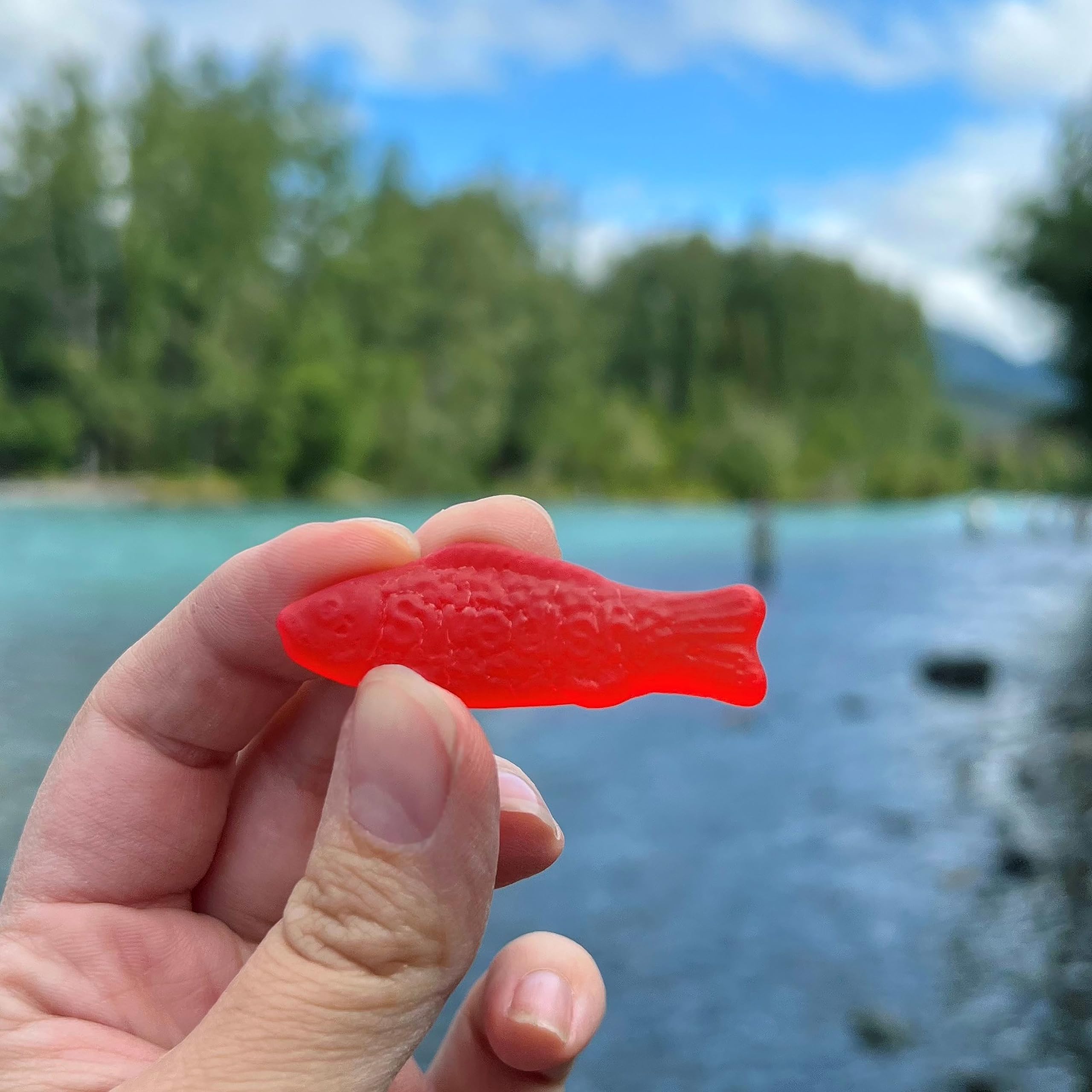 Swedish Fish Halloween candy, soft texture for kids' treat bags
