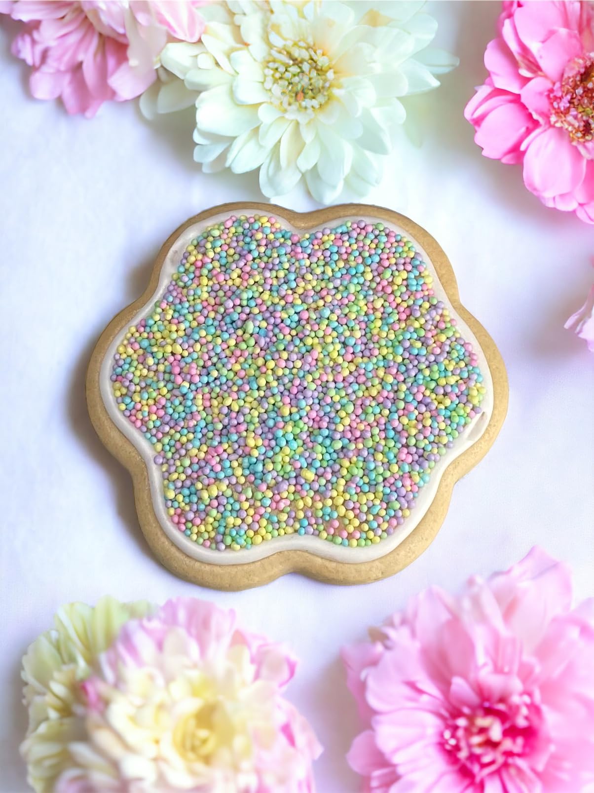 Sweet Eva’s colored nonpareils elevate cookies with color and sparkle