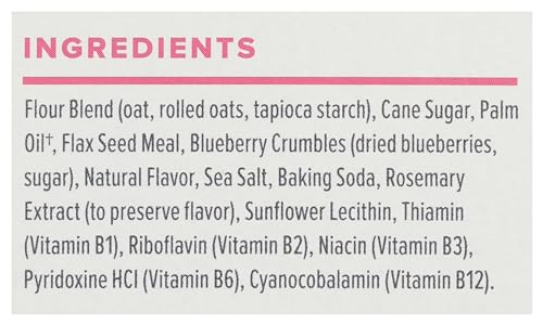 Sweet Loren's gluten-free vegan blueberry breakfast biscuits plated with blueberries for a ready-to-enjoy breakfast