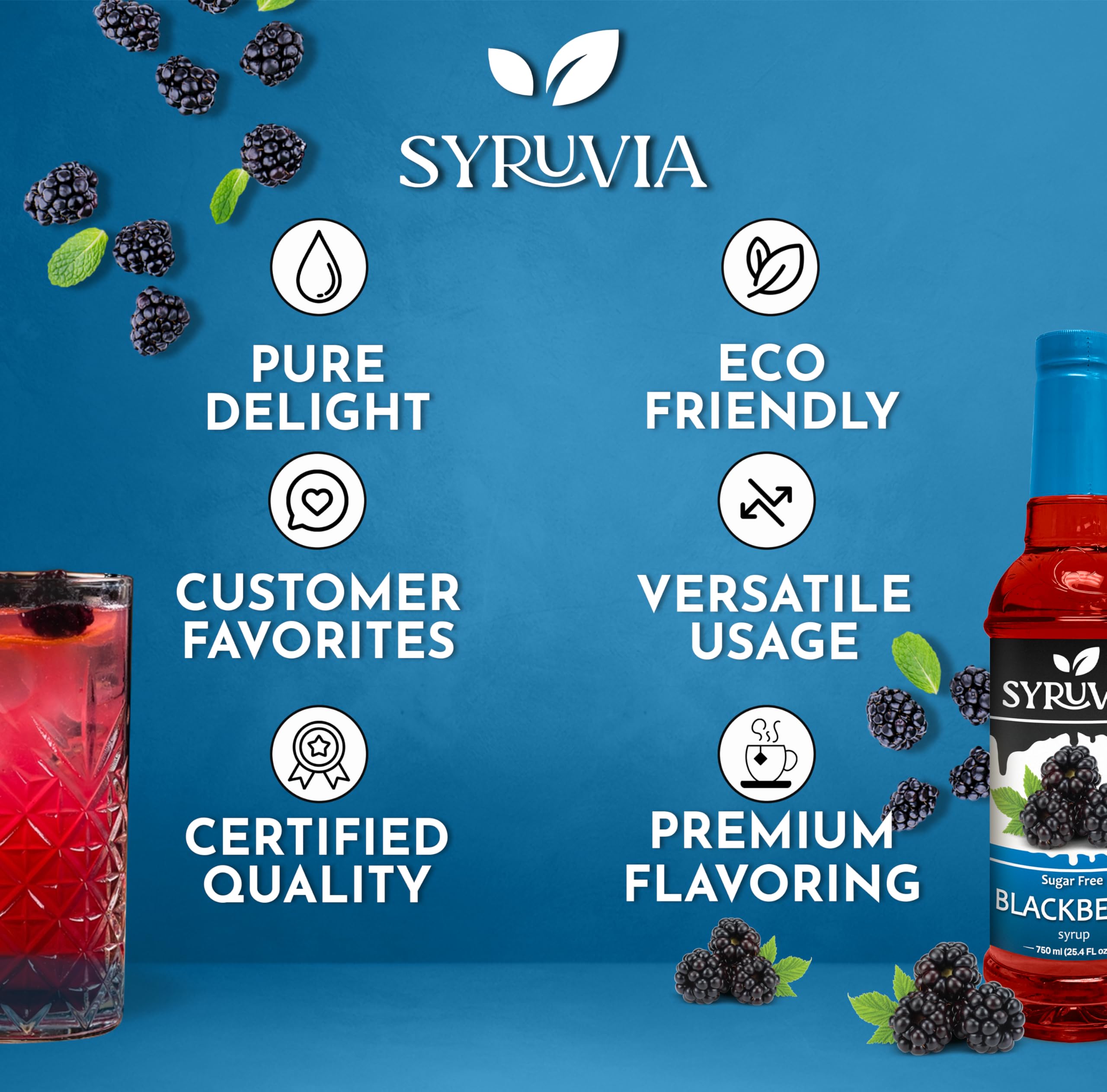 Syruvia Sugar-Free Blackberry Syrup dessert drizzle demonstrates versatile topping.