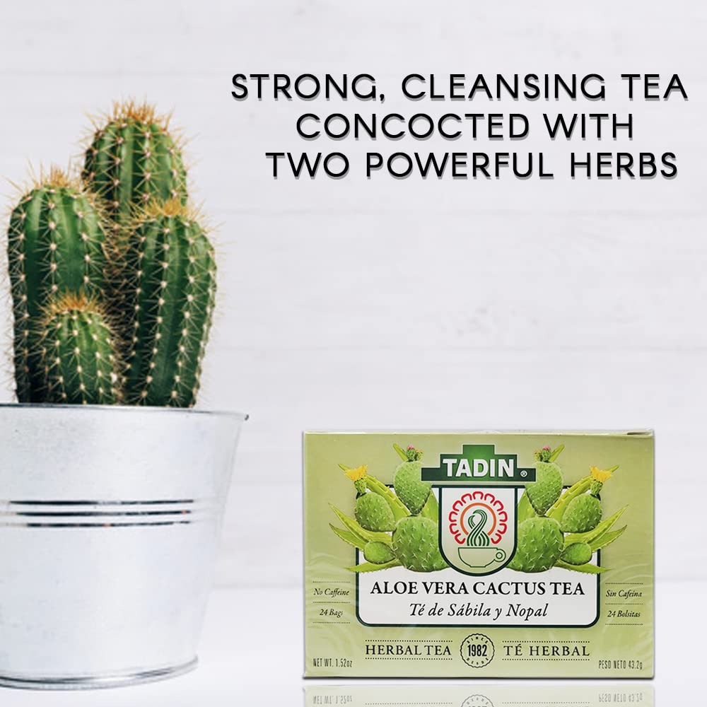 Tadin Tea Aloe Vera With Cactus infuser-ready setup suggests easy daily ritual