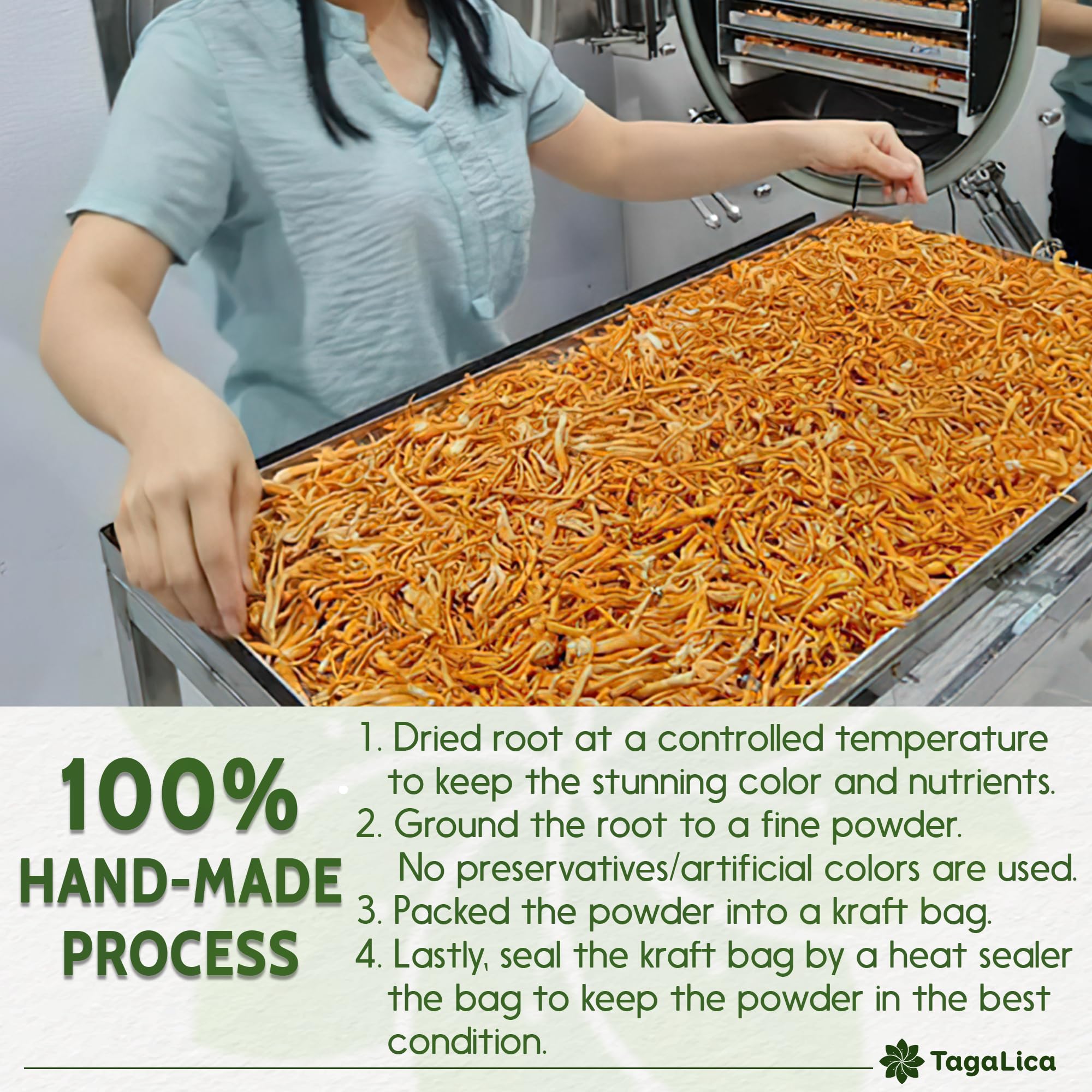 Tagalica dandelion root powder dried roots texture.