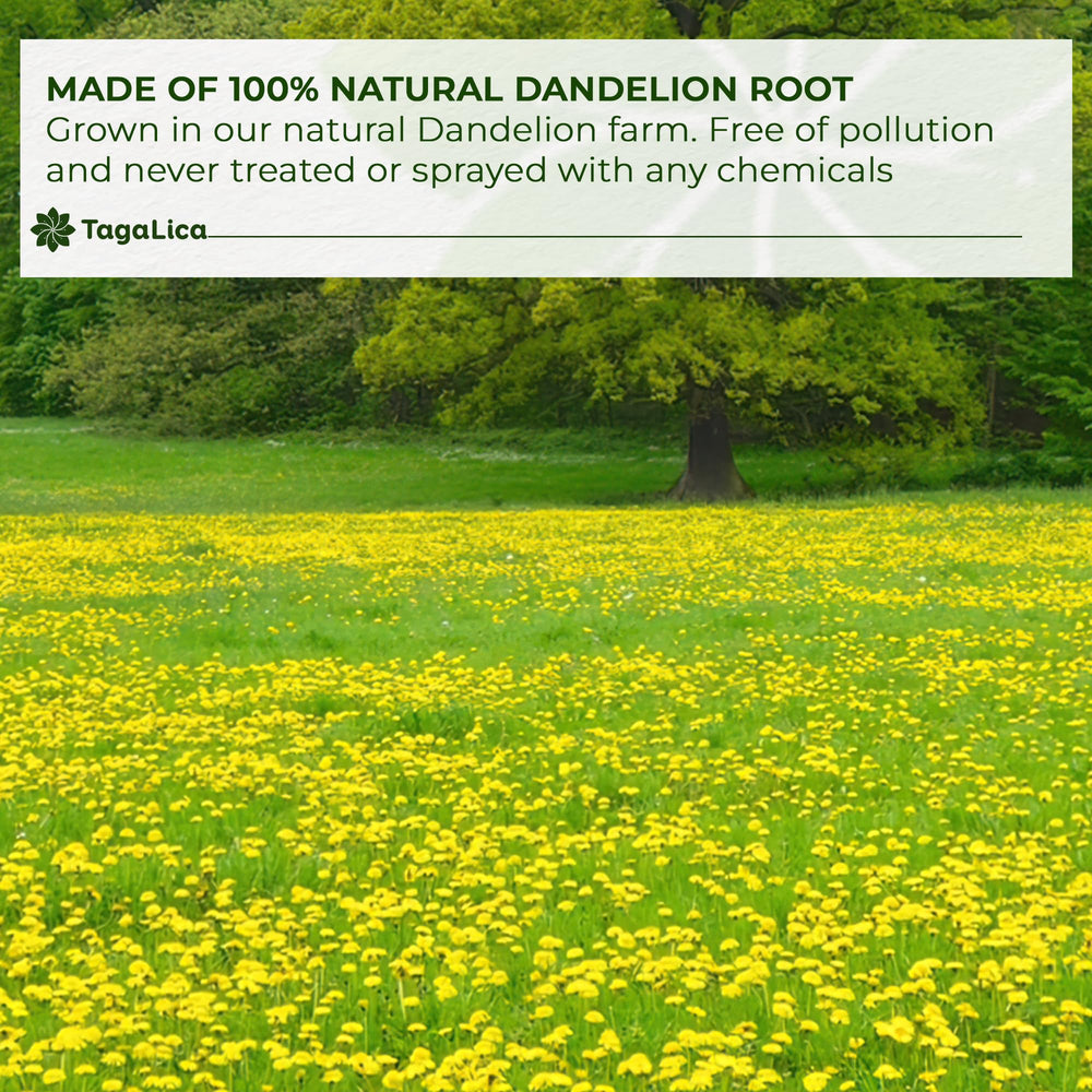 Tagalica dandelion root powder in hot water ideal tea.