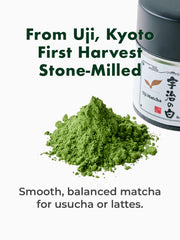 Fine powder texture of TAGASHIRA CHAHO Uji no Shiro for smooth whisking