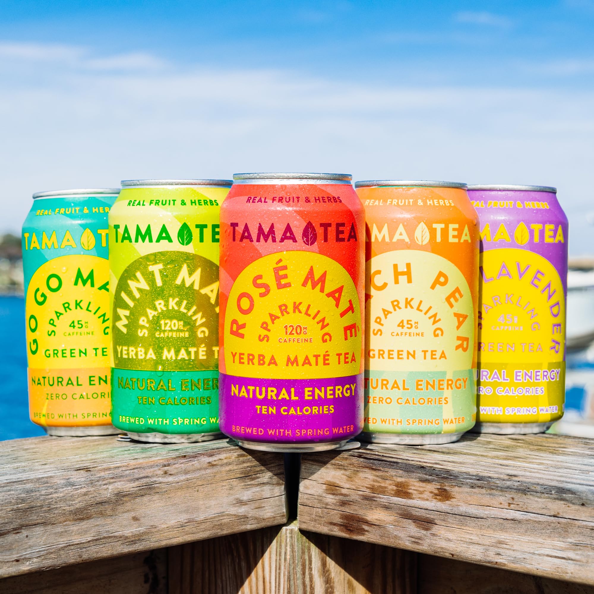 Tama Tea 12-pack display featuring four flavors
