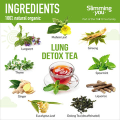 Brewed TAOISTEA Lung Detox Tea in a cup with steam for a soothing moment