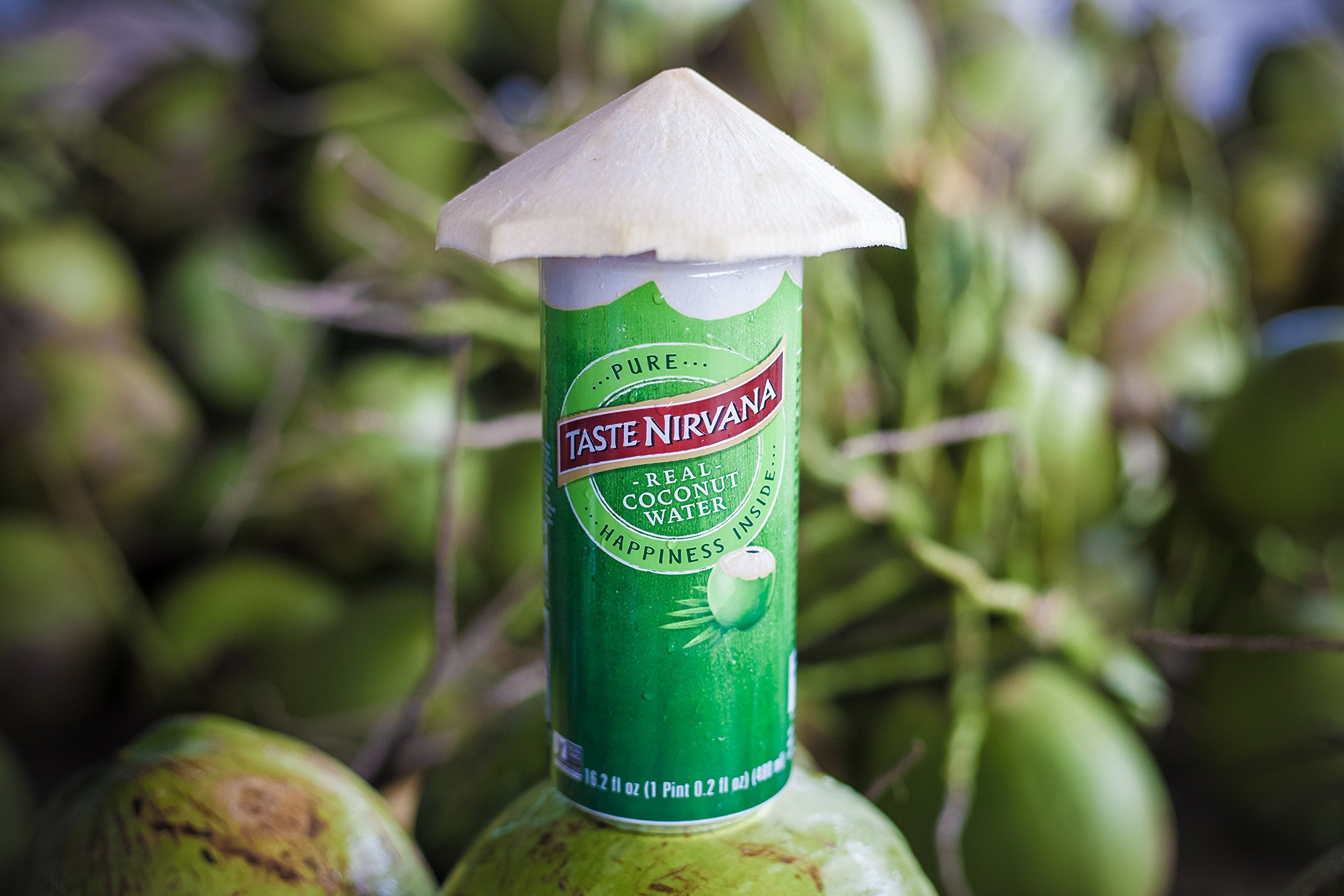 Taste Nirvana Coconut Water pack 12 cans on shelf suggests easy multi-pack hydration.