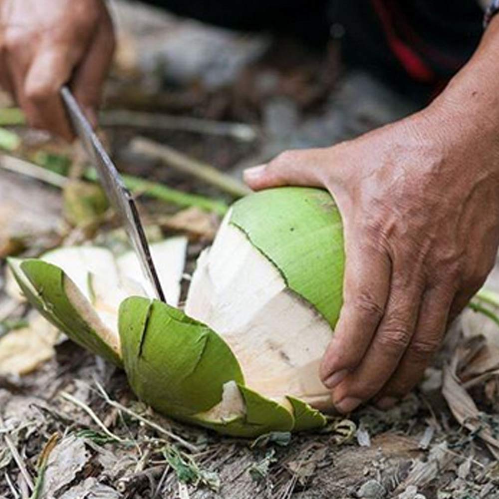 Taste Nirvana Real Coconut Water being poured into a glass