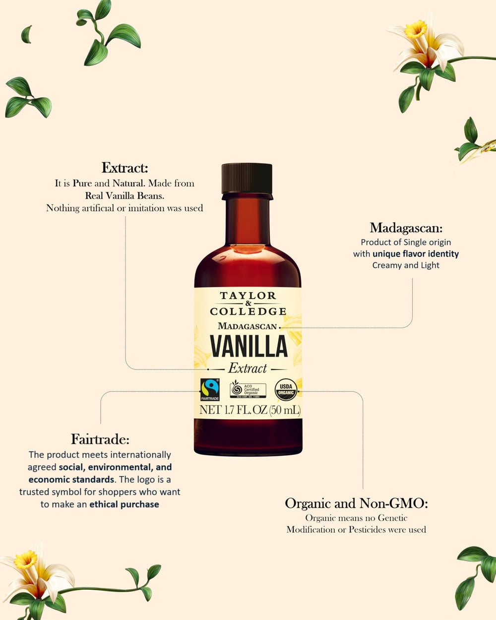 Taylor and Colledge fairtrade vanilla beans closeup signals ethical sourcing and rich aroma