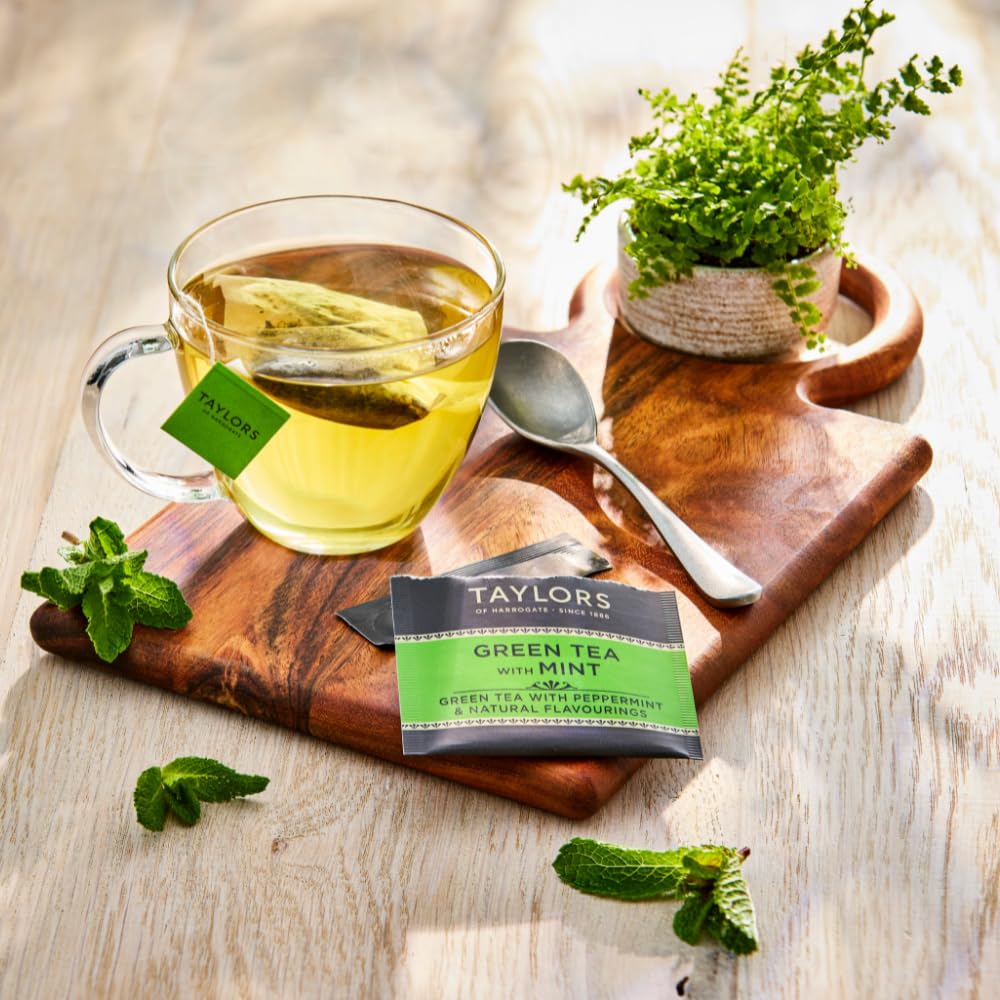 Taylors of Harrogate Green Tea with Mint tea bags fanned out.