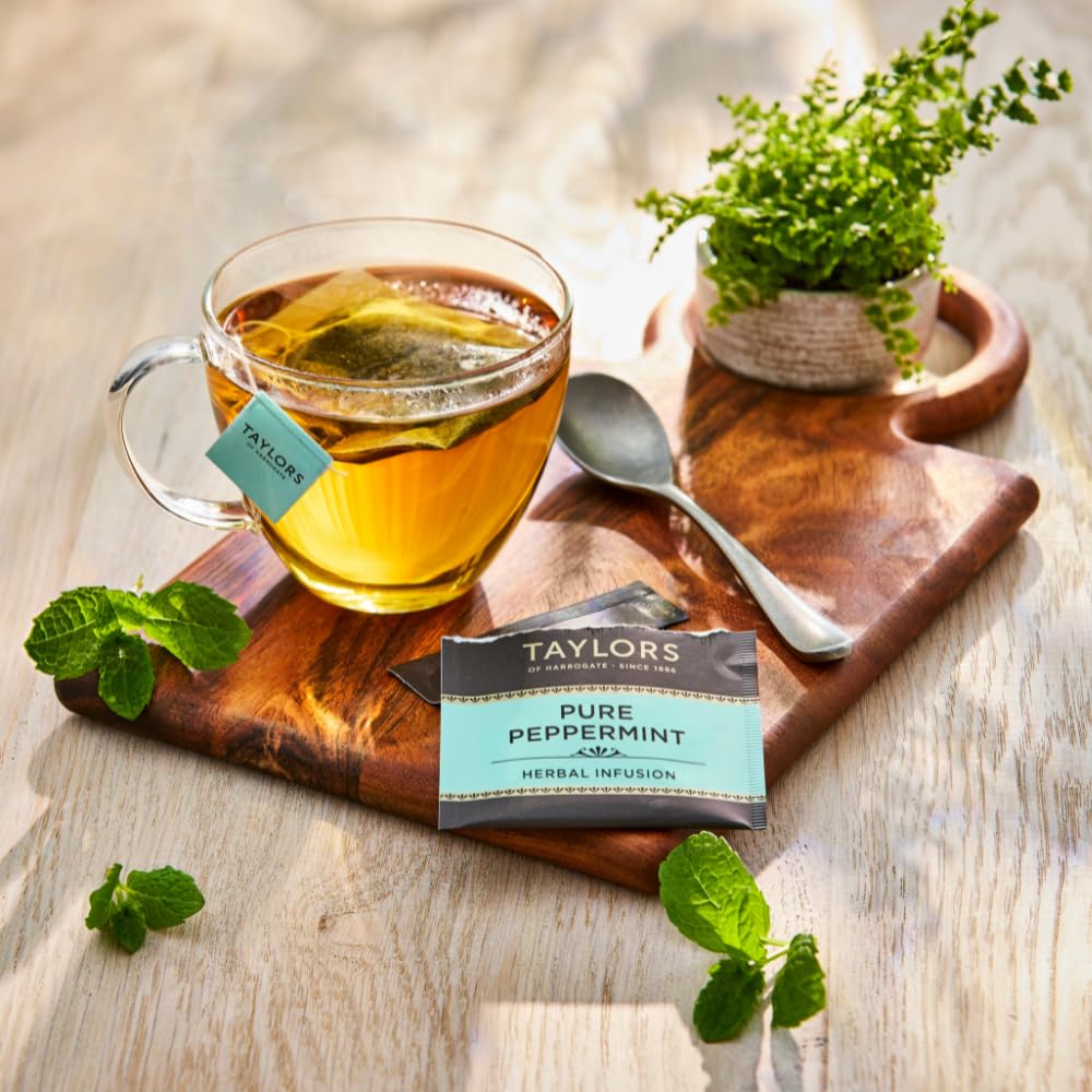 Taylors of Harrogate peppermint tea in a mug, hot or iced