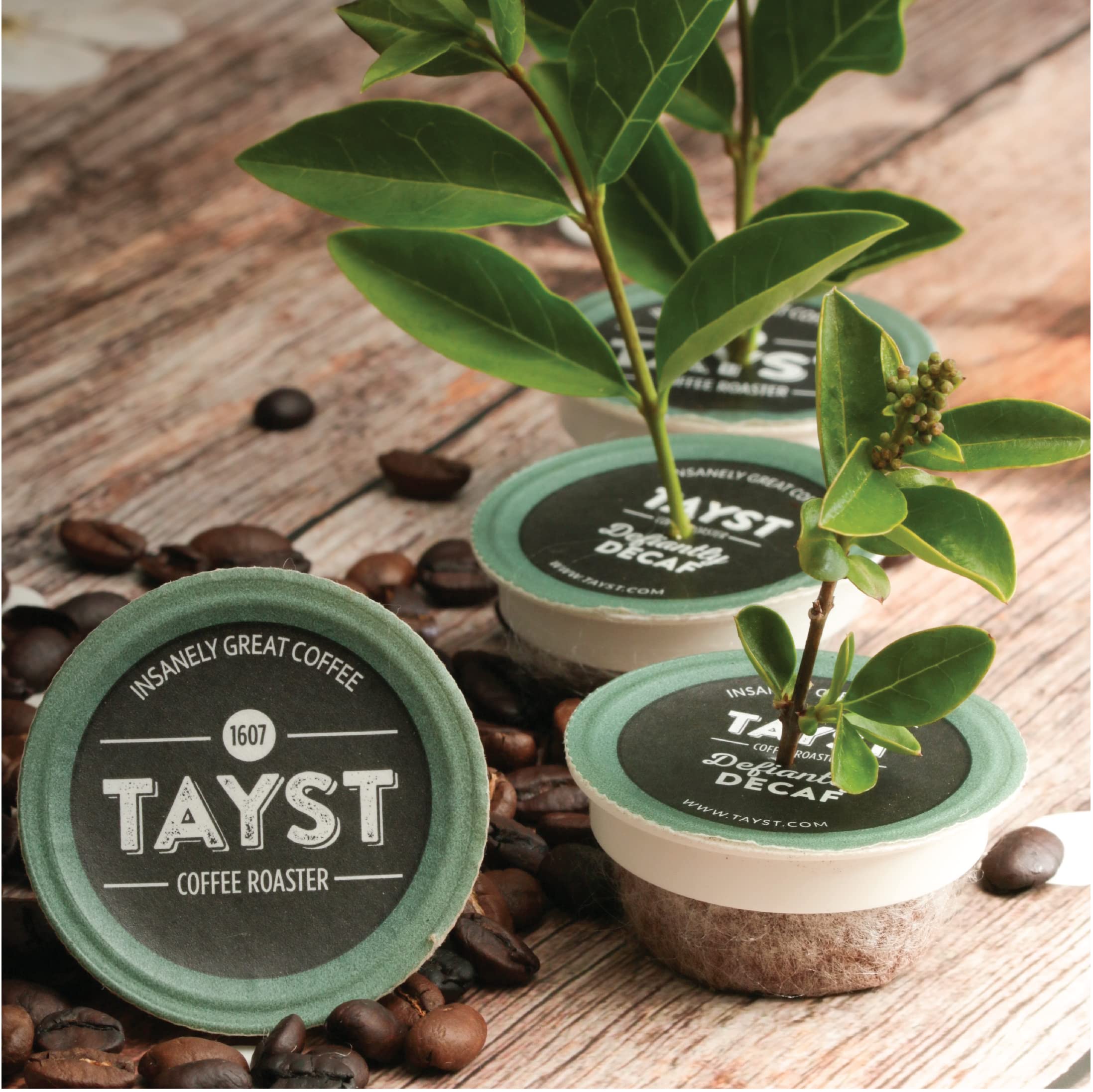 Tayst Rainforest Alliance logo on packaging signals sustainable sourcing.