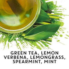TAZO Organic Zen 36-count packaging, convenient daily tea ritual ready when you are.