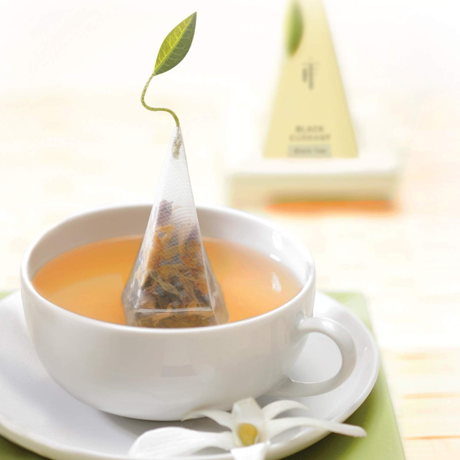 Full Tea Forte presentation box on display, ideal for gifting