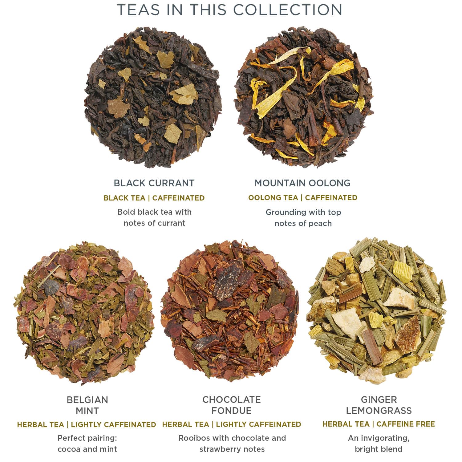 Tea Forte Mountain Oolong infuser delivering toasty notes.