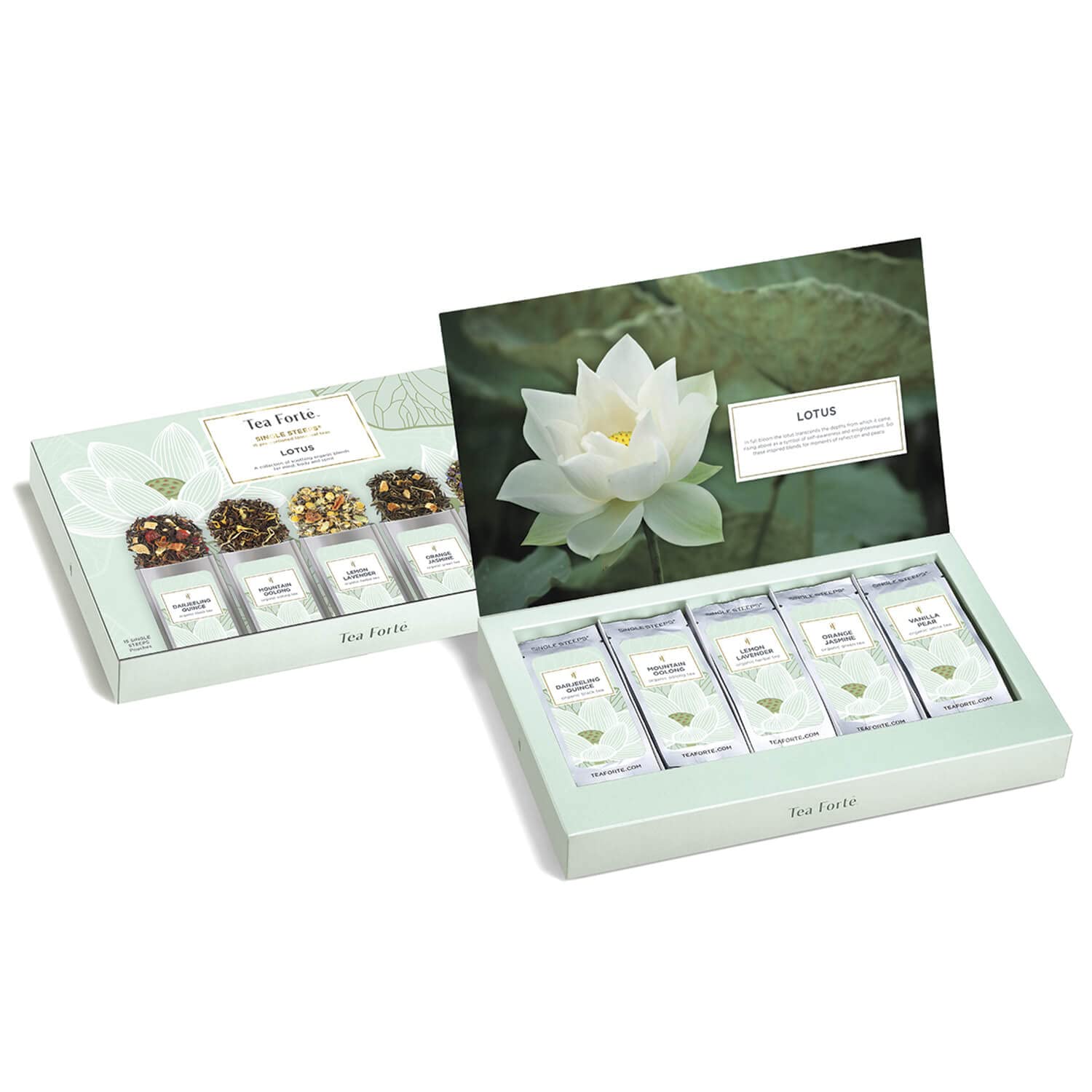 Tea Forte Mountain Oolong pouch with balanced taste for afternoon tea.