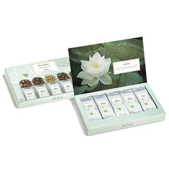 Tea Forte Mountain Oolong pouch with balanced taste for afternoon tea.