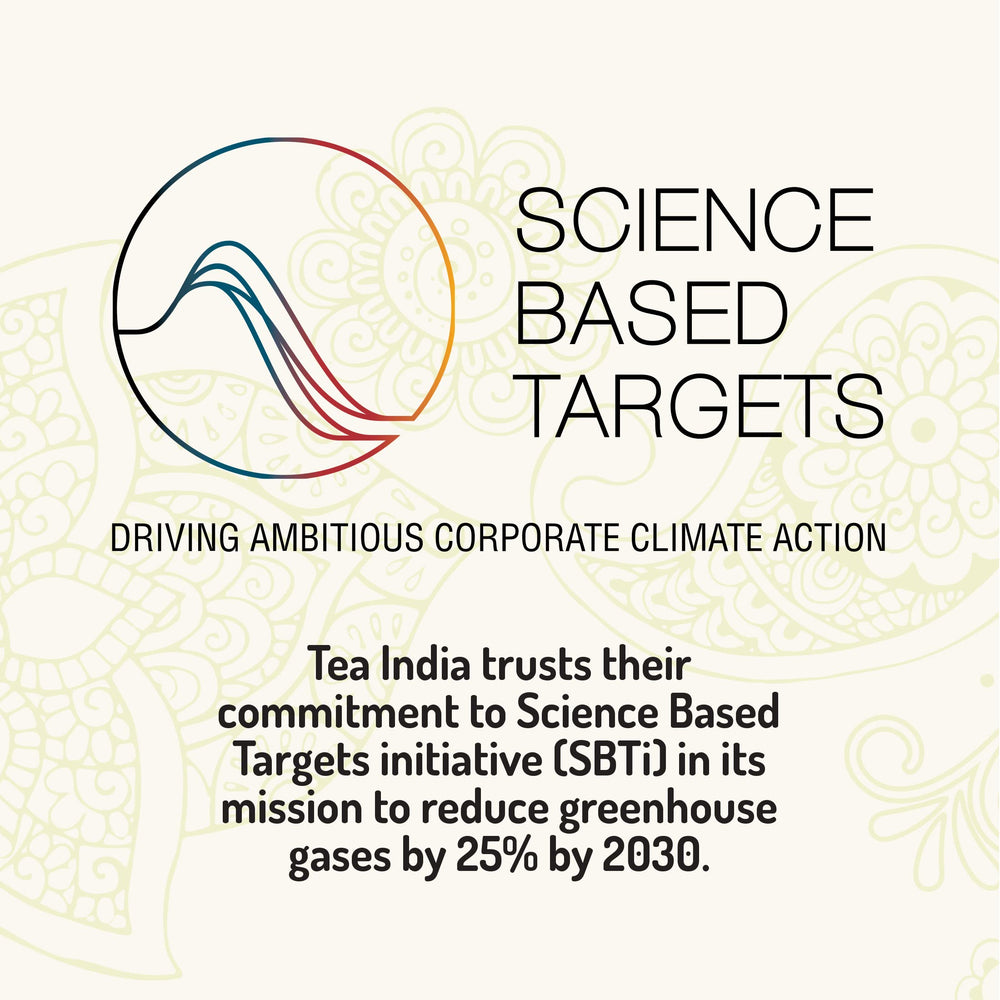 Tea India brand packaging highlights quality and tradition