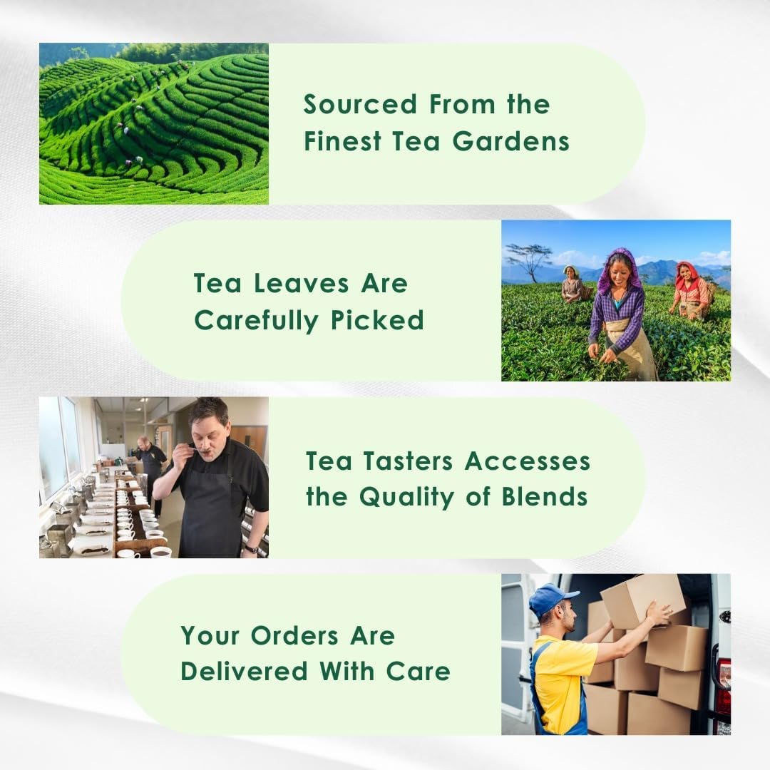 Tea Leaf & Co eco-packaging highlights plastic-free sustainable presentation