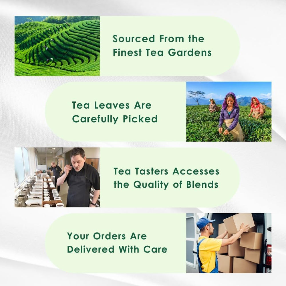 Tea Leaf & Co eco-packaging highlights plastic-free sustainable presentation