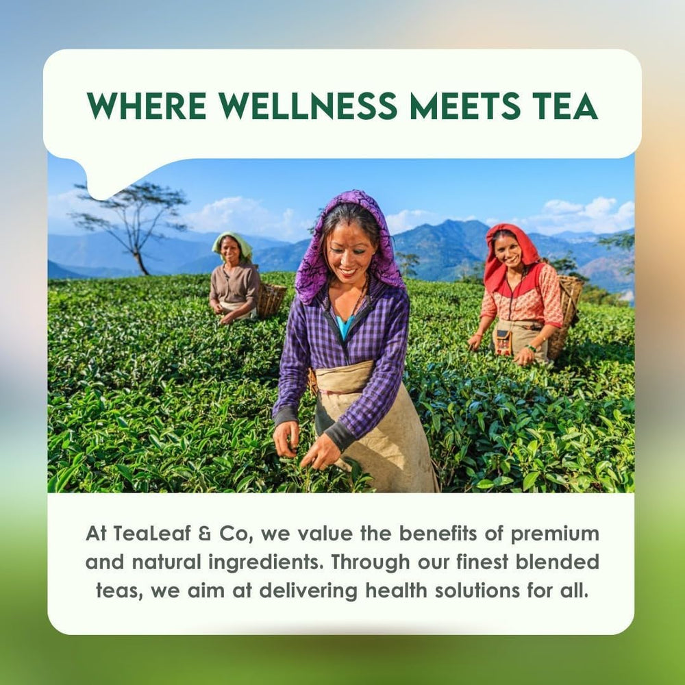 Tea Leaf & Co Indian farm sourcing ensuring fresh, small-farm quality