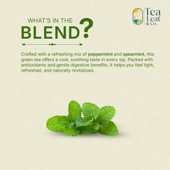 Tea Leaf & Co. mint pyramid bags deliver crisp, refreshing flavor.